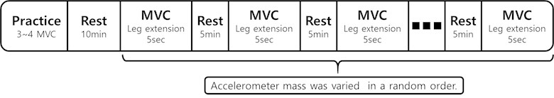 The MVC Exercise protocol