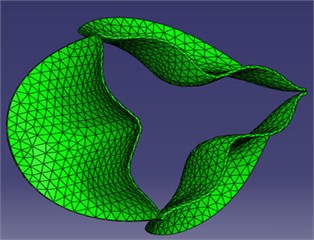 Model mesh diagrams for: a) leaflets, b) domain