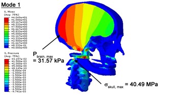 Contour plots of biomechanical responses of human finite element head-neck model,  indicating their vertex values at special important modes