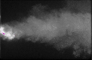 Bubble cloud changes from pulsed nozzle by CCD camera