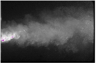 Bubble cloud changes from pulsed nozzle by CCD camera