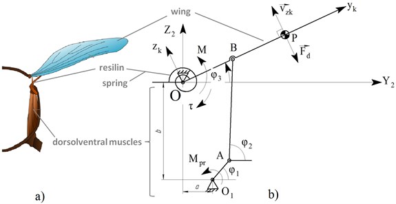 а) Wing coupling in insect thorax, b) mounting of wing on an elastic suspension