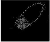 Division processes and results of a flaw image of gas port image