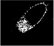 Division processes and results of a flaw image of gas port image