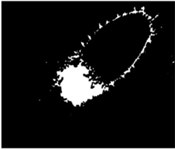 Division processes and results of a flaw image of gas port image