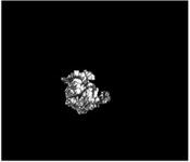 Division processes and results of a flaw image of gas port image