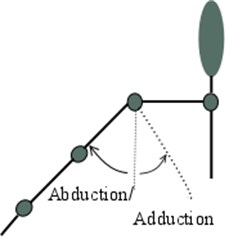 a), b) Shoulder and c) elbow motions that participants needed to perform during  the experiment: adduction, abduction, flexion, and extension