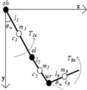 Simplified 3-D 3-segment dynamical UE model with shoulder (sh), elbow (el), wrist (wr) joints  in sagittal (x-y) and frontal (z-y) planes: Ti – joint’s torques of each segment;  θi – are generalized coordinates of each segments