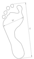 Foot parameters