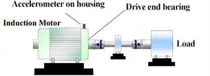 A schematic of the experimental system