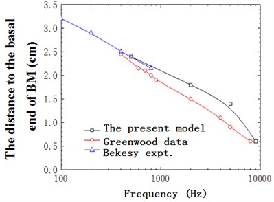 The distance to the basal end of BM with frequency