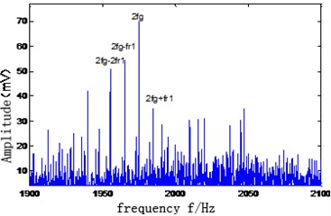 Local amplification figure of amplitude spectrum of vibration signal