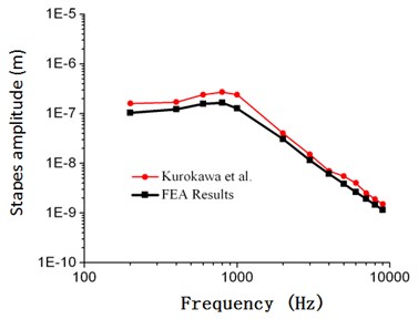 Comparison between the numerical  and experimental stapes amplitude  of Kurokawa (105 dB)