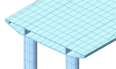 Finite element model of local structures of the long-span bridge