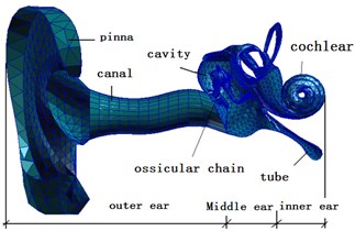 A complete finite element model of human ear
