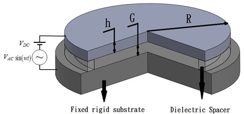 Schematic illustration of the circular micro-plate