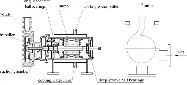 Schematic diagram of the model pump