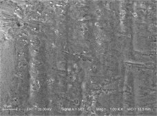 The SEM of fuel spray nozzle channel after abrasive flow machining in different viscosity