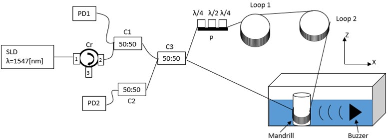 Sensor schematic using a Sagnac interferometer. Cr (optical circulator), C1, C2, C3 (optical couplers 1, 2 and 3), P (optical polarizator), PD1, PD2 (photodiodes 1 and 2)