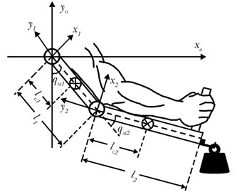 Model of a 2-DOF upper-limb exoskeleton