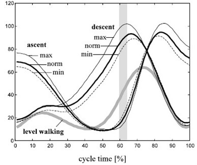 Angle variation during ascent and descent through walking pattern (The unit of angle is ‘°’) [5]