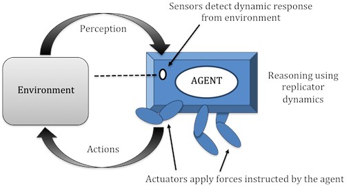 Agent representation for autonomous control of structures
