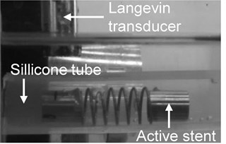 Experimental equipment for resonance experiment in silicon tube