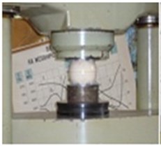 Loading scheme for testing elastomeric elements on a FU100 machine