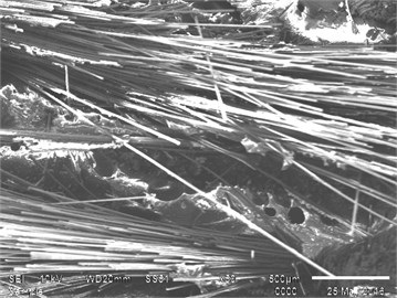 SEM image showing matrix cracking and voids effect