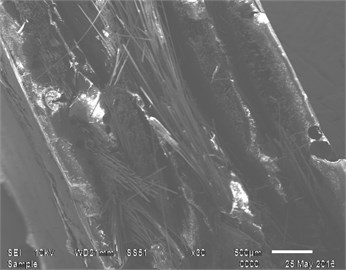 SEM image of the fracture surface of the tensile tested specimen for [0°/90°] specimen