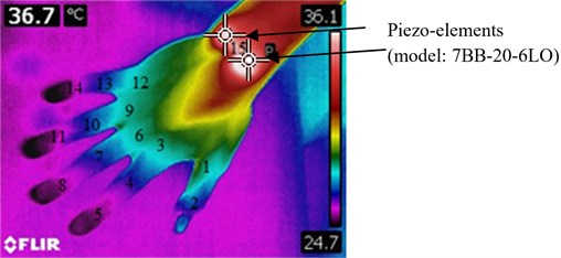 Hand thermal image with numbered measurement points