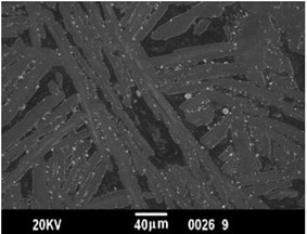 SEM microstructures of the ceramic composites, primarily comprised of rod-shaped crystals