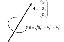 Euler vector