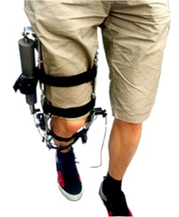 The first version of the knee joint powered robotic exoskeleton