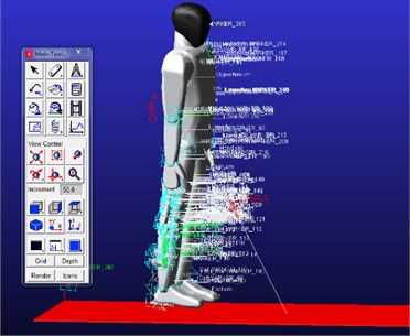Wearable exoskeleton model and the human body