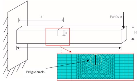 Cantilever beam model with fatigue crack