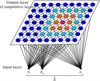 SOM neural network structural