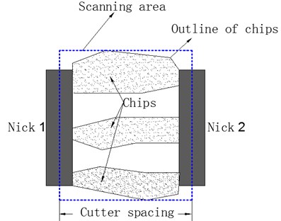Diagram of scanning area used in morphology measurements