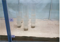 Photo of 7 group piles experiment result