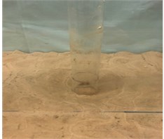 Photo of single pile experiment result