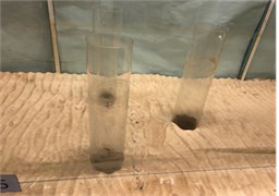 Photo of 3 group piles experiment result