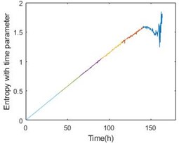 Entropy with time parameter and energy comparison of the 1-3 bearing