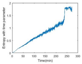 Entropy with time parameter of 6 bearings