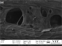 (a) SEM image of LUFFA fiber, (b) presence of Luffa fiber in flexible foam, (c) void in rigid foam
