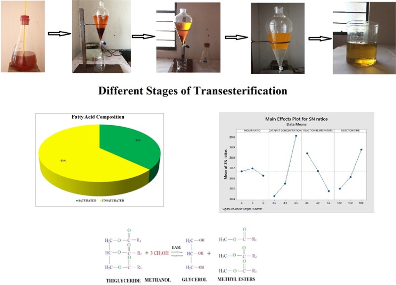 Optimization of palm methyl ester and its effect on fatty acid compositions and cetane number