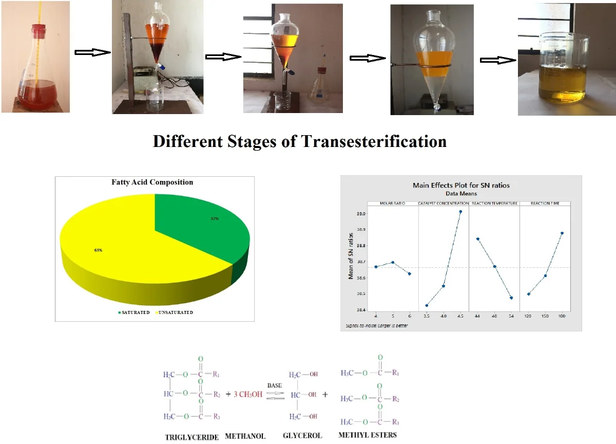 Optimization of palm methyl ester and its effect on fatty acid compositions and cetane number