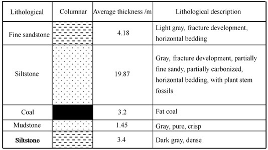 Geological column of coal seam
