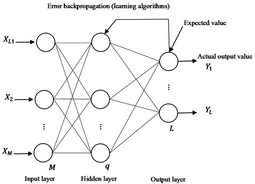 Typical three-layer feedforward BP neural network model