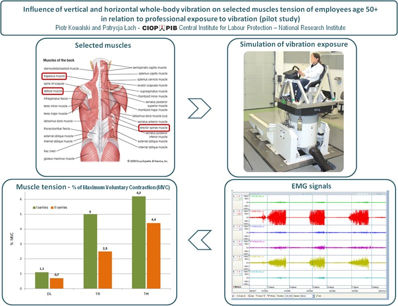 Influence of vertical and horizontal whole-body vibration on selected muscles tension of employees age 50+ in relation to professional exposure to vibration (pilot study)