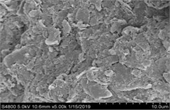 10 µm solidified soil SEM picture